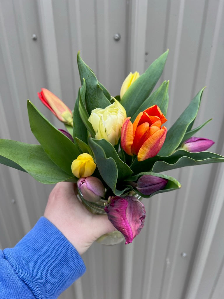 $20 vase arrangement